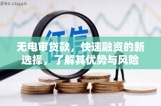 洛隆无电审贷款，快速融资的新选择，了解其优势与风险