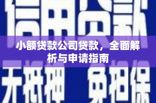 洛隆小额贷款公司贷款，全面解析与申请指南
