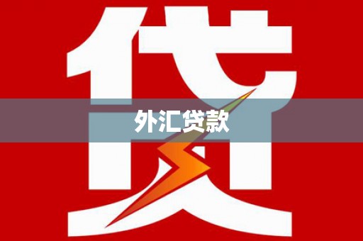 洛隆外汇贷款