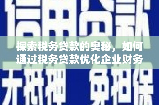 洛隆探索税务贷款的奥秘，如何通过税务贷款优化企业财务