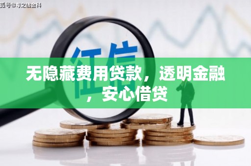 洛隆无隐藏费用贷款，透明金融，安心借贷