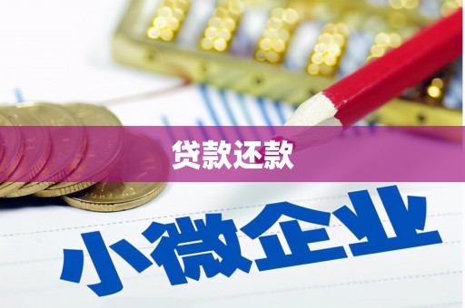 洛隆贷款还款