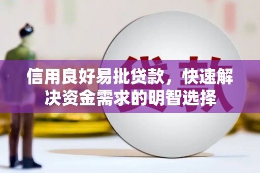 洛隆信用良好易批贷款，快速解决资金需求的明智选择