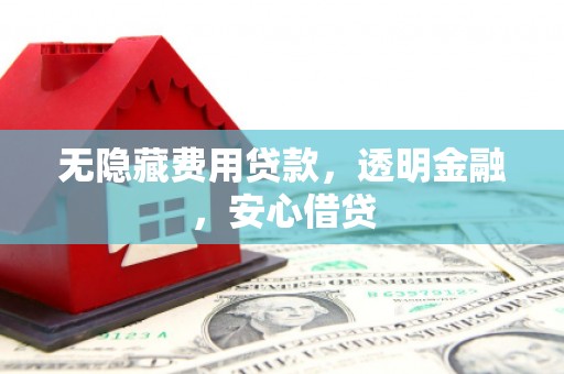 洛隆无隐藏费用贷款，透明金融，安心借贷