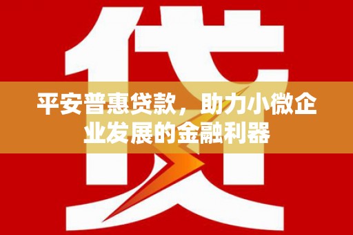 洛隆平安普惠贷款，助力小微企业发展的金融利器