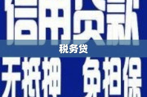 洛隆税务贷
