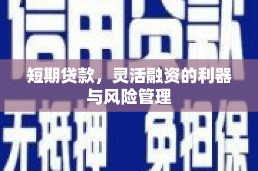 洛隆短期贷款，灵活融资的利器与风险管理