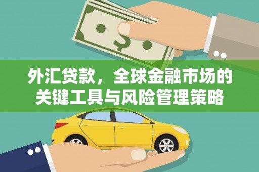 洛隆外汇贷款，全球金融市场的关键工具与风险管理策略