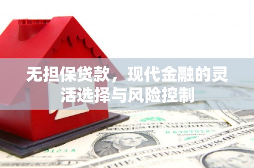 洛隆无担保贷款，现代金融的灵活选择与风险控制