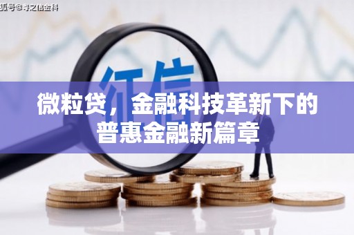 洛隆微粒贷，金融科技革新下的普惠金融新篇章