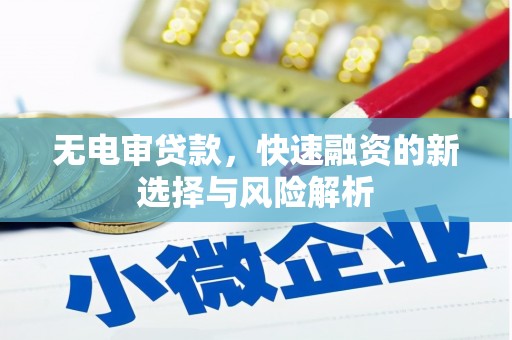 洛隆无电审贷款，快速融资的新选择与风险解析