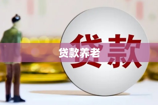 洛隆贷款养老