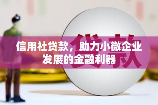 洛隆信用社贷款，助力小微企业发展的金融利器