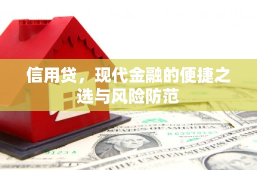 洛隆信用贷，现代金融的便捷之选与风险防范