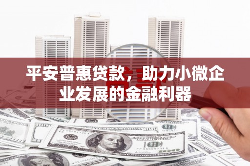 洛隆平安普惠贷款，助力小微企业发展的金融利器