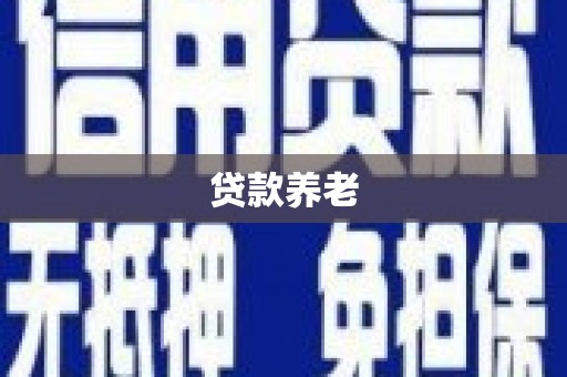 洛隆贷款养老