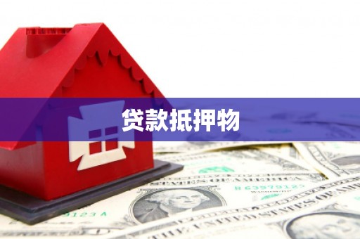洛隆贷款抵押物