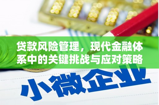 洛隆贷款风险管理，现代金融体系中的关键挑战与应对策略