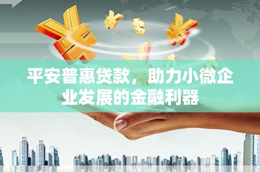 洛隆平安普惠贷款，助力小微企业发展的金融利器