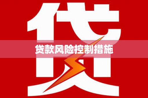 洛隆贷款风险控制措施